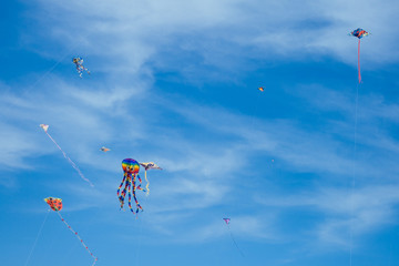 Flying Kites