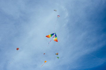 Fototapeta na wymiar Flying Kites