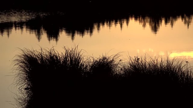 Berge und B&auml;ume spiegeln sich im Alpsee, Abendstimmung am See, Attlesee, Nesselwang, Allg&auml;u, 4K