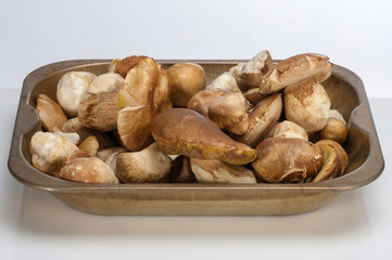 Boletus tray isolated on white background