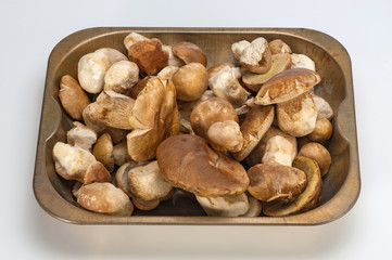 Boletus tray isolated on white background