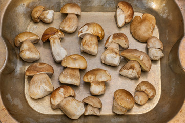 Boletus tray isolated on white background