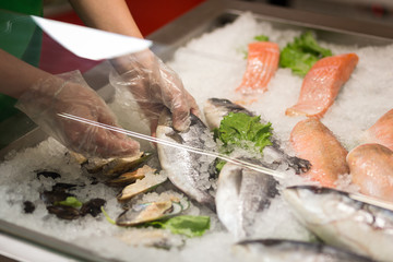 Nature morte à angle élevé d& 39 une variété de poissons frais crus refroidissant sur un lit de glace froide dans un étal de marché de fruits de mer, fruits de mer frais sur glace dans la vitrine, saumon sur un étalage de marché réfrigéré, supermarché, ra
