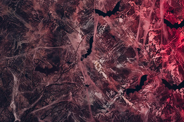 bat and cobwebs. halloween