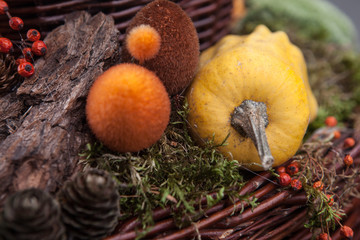 Jesienna kompozycja © Olo