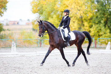 Young rider woman on bay horse performing advanced test on dressage competition. Equestrian event...