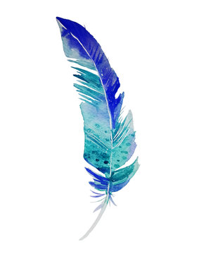 Beautiful blue and turquoise bird feather isolated on white background