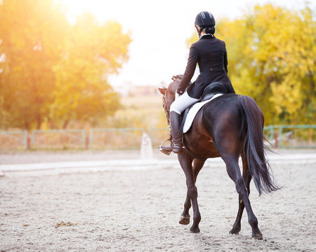 Young rider woman on bay horse performing advanced test on dressage competition. Rear view image of equestrian event background with copy space