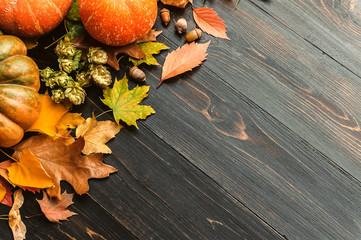 Obraz premium autumn background with pumpkins, autumn leaves, hops and oak acorns lying on a black wooden background