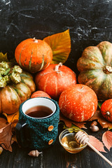 autumn background with pumpkins, autumn leaves with honey and a mug of hot warming tea