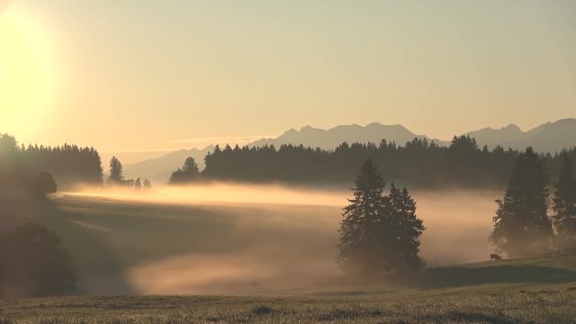 Nebelstimmung bei Sonnenaufgang im Alpenvorland, Allg&auml;u, Nebel, Herbststimmung, Almwiesen mit Wald, 4K