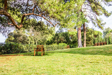 Obraz na płótnie Canvas Деревянные стулья для отдыха в парке с видом на море