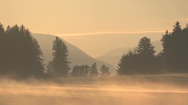 Nebelstimmung bei Sonnenaufgang im Alpenvorland, Allgäu, Nebel, Herbststimmung, Almwiesen mit Wald, 4K