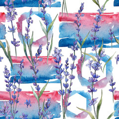 Wildflower lavander flower pattern  in a watercolor style. Full name of the plant: lavander. Aquarelle wild flower for background, texture, wrapper pattern, frame or border.