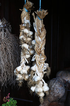 Bunches of garlic
