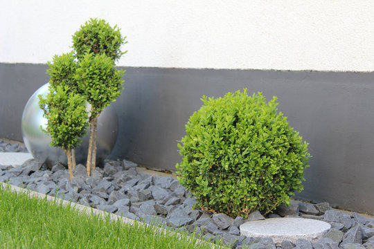 Modernes Garten Design, Steinbeet