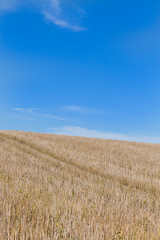 Horizont zwischen Stoppelfeld und blauem Himmel