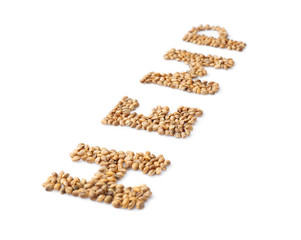 Obraz premium Word HEMP made of seeds on white background