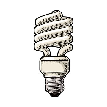 Energy saving spiral lamp. Vector vintage engraving on white background