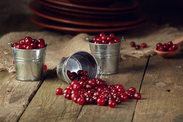 Cranberry in a three buckets