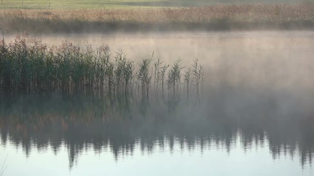 Morgenstimmung mit Nebel und Schilf am See, Attlesee, Allg&auml;u, Bergsee, Alpsee, Herbststimmung, 4K