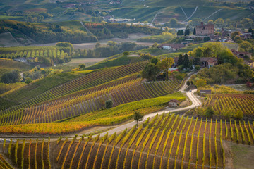 Fototapeta na wymiar Vineyards in langhe region of northern italy in autumn with full