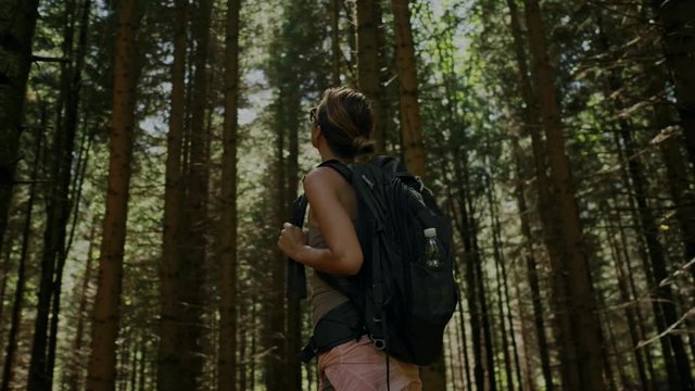 Beautiful woman hiker walking in a forest