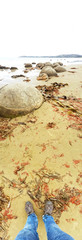 Vertical panorama with Moeraki Boulders, Koekohe Beach on the Otago coast of New Zealand
