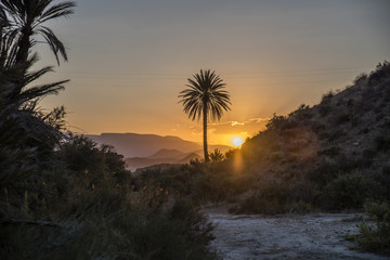 puesta de sol en desierto de tabernas