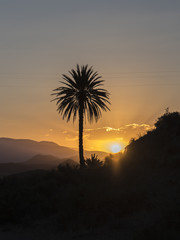 puesta de sol en desierto de tabernas