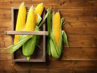 Basket and fresh corn cobs on wooden background