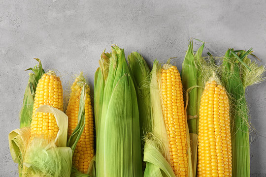 Fresh corn cobs on grunge background