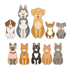 Cute pets cartoon icon vector illustration graphic design