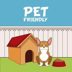 Pet friendly cartoon icon vector illustration graphic design