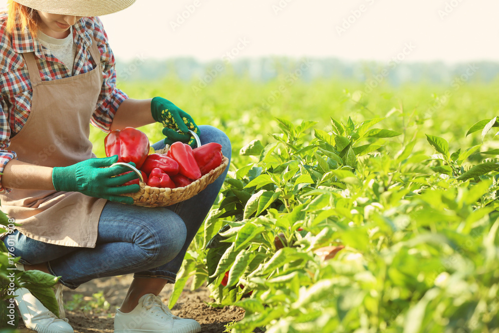 Poster female farmer working in field