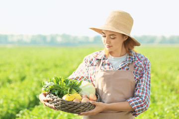 Female farmer holding wicker bowl with vegetables in field