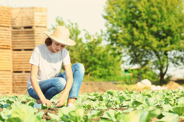 Naklejka na ściany i meble Young female farmer working in field