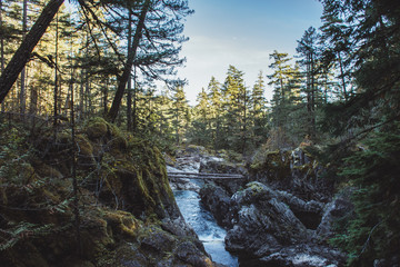 Little Qualicom Scenary 