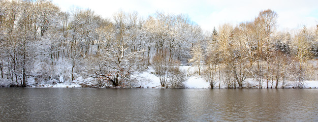 Winter landscape of frozen trees .