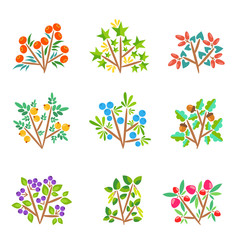 Nine cartoon bushes with bright berries / Vector bushes on white background 
