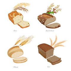 Four breads with slices and cereal ears. Part one / There are rice, buckwheat, wheat and rye bread and ears
