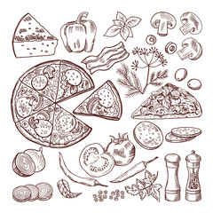 Fototapety  Włoska pizza z różnymi składnikami. Wektor zbiory zestaw