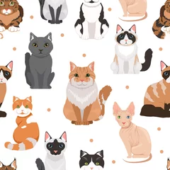Papier Peint photo Chats Modèle sans couture de vecteur de chats mignons. Images colorées d& 39 animaux de compagnie