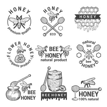 Monochrome labels set with honey, bees and honeycomb