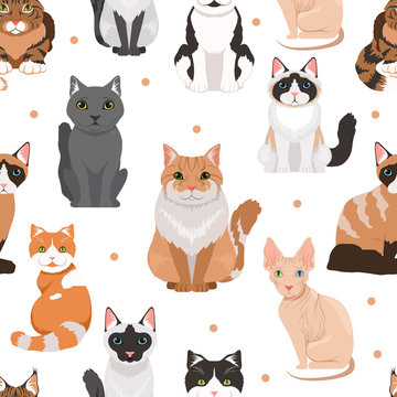 Vector seamless pattern of cute cats. Colored pictures of pets