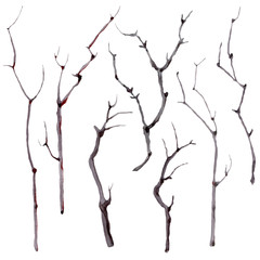 Fototapeta premium watercolor branches set.