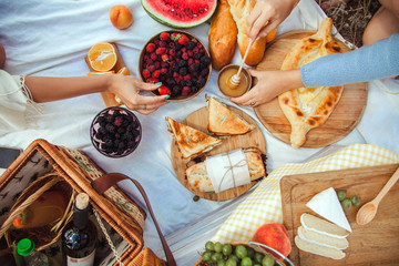 Picnic set with fruit, cheese, toast, honey, wine with a wicker basket and a blanket. Beautiful summer background with girl and products on nature - obrazy, fototapety, plakaty
