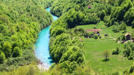 Fototapeta na wymiar Scenic deep canyon with blue Tara river in Montenegro mountains. Mountain river Tara close up.