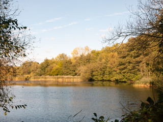 beautiful lake scene outside summer autumn green yellow
