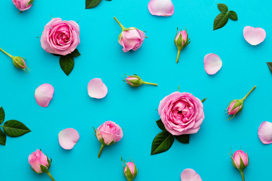 Rose background